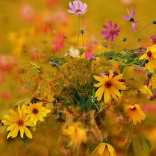 flowers, bouquet, wild