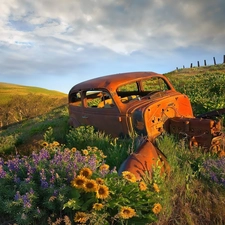 wreck, Meadow, Flowers, Automobile
