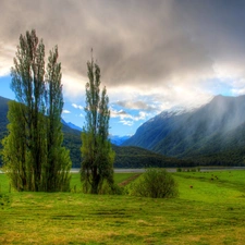 Fog, clouds, woods, River, Mountains