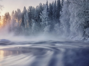 trees, viewes, Finland, forest, winter, Snowy, River, Fog