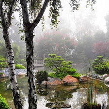 japanese, morning, Fog, Garden