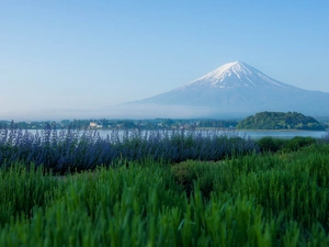 Fog, volcano, Meadow