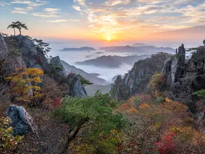 trees, Daedunsan Provincial Park, viewes, pine, autumn, South Korea, Fog, Sunrise, rocks