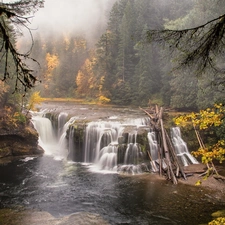 River, forest, Fog, waterfall
