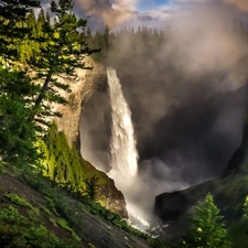 Fog, forest, waterfall