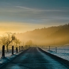 Way, woods, Fog, fence