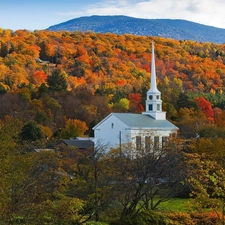 forest, autumn, church