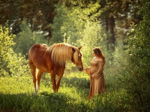 viewes, forest, Horse, trees, Women