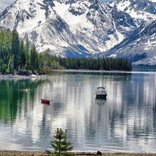 forest, Mountains, lake