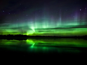 Polaris, forest, lake, dawn, Sky