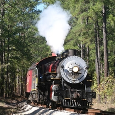 locomotive, forest