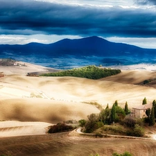 forest, clouds, Mountains