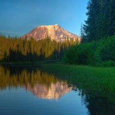 mountains, lake, forest, height