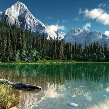 forest, lake, Mountains