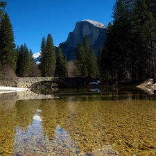 forest, Mountains, stone, bridge, River