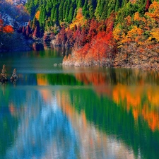 forest, autumn, River