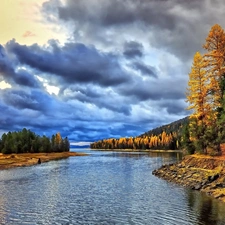 forest, clouds, River