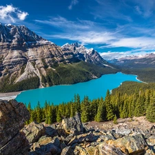 viewes, Peyto Lake, Mountains, Province of Alberta, forest, Banff National Park, rocks, Canada, clouds, trees