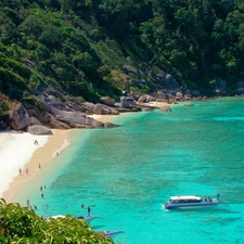 sea, Rocks, forest, Beach