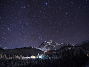 Sky, winter, forest, snow, Gory, Night