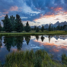 trees, Mountains, Spruces, forest, clouds, viewes, lake