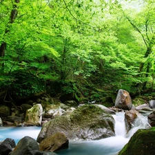 forest, stream, Stones