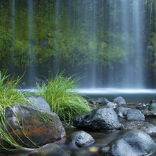 forest, waterfall, Stones