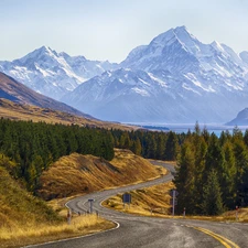 forest, Mountains, Way