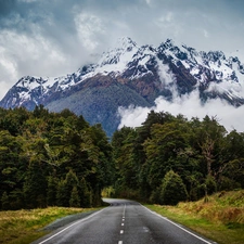 forest, Way, peaks, Mountains, Sky