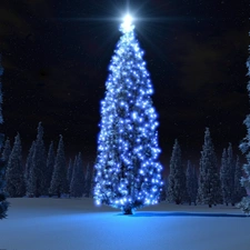 winter, christmas tree, forest, illuminated