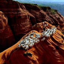 herd, Goats, Rock Formations, Mountains, rocks