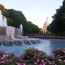 Beauty, fountain