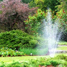 Garden, Poznań, fountain, botanical