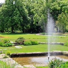 Garden, Poznań, fountain, botanical