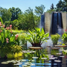 Park, water, fountain, plants