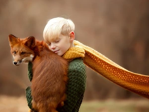 Fox, boy, Scarf