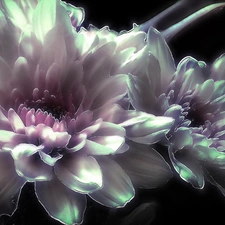 Flowers, Fractalius