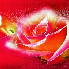 Colourfull Flowers, graphics, Fractalius, rose