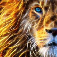 Fractalius, Lion, graphics