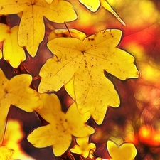 Fractalius, Yellow, Leaf