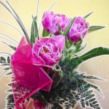 purple, adoption, Fractalius, Tulips