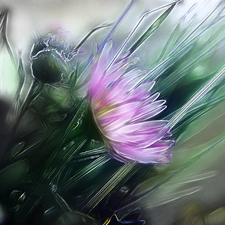 Fractalius, Flowers, Wildflowers