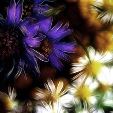 Fractalius, Flowers, Wildflowers