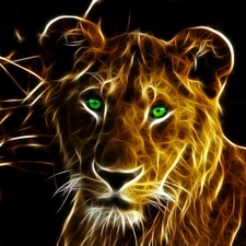 Lioness, Fraktalius