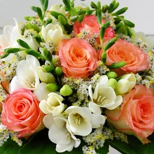 Freesias, roses, Arts, flowers, bouquet