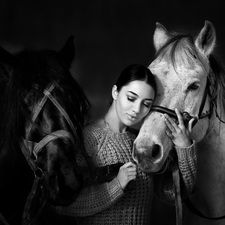 friendship, Women, bloodstock