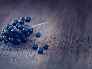Fruits, blueberries