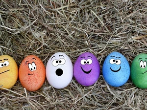 color, eggs, hay, Funny
