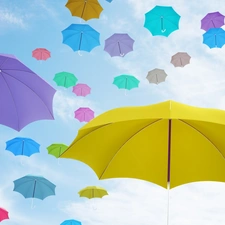 umbrellas, 2D Graphics