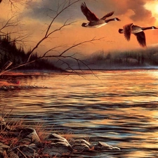 geese, west, water, Terry Avon Redlin, Canadian, sun